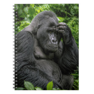 Silberrücken-Gorilla in tiefen Gedanken Notizblock