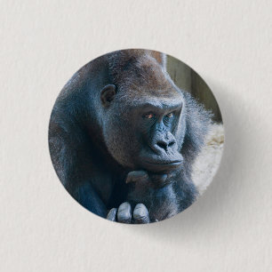 Silberrücken schlägt eine Pose Button