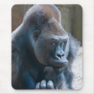 Silberrücken schlägt eine Pose Mousepad