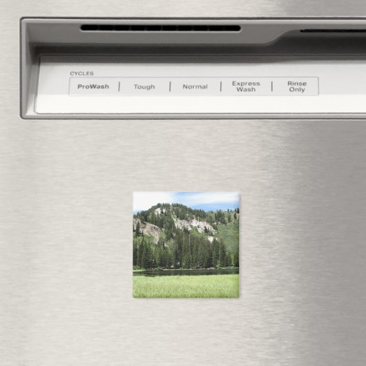 Silbersee Magnet (In Situ (Geschirrspüler))