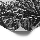 Silbersee: Okrakoke, NC Poster (Ecke)