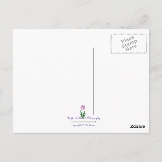 Silbersee Postkarte (Rückseite)