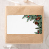 Silberstreifen mit Zapfen und Brille (Insitu)