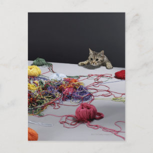 Silbertablette Katzenklettern über Tischkante Postkarte