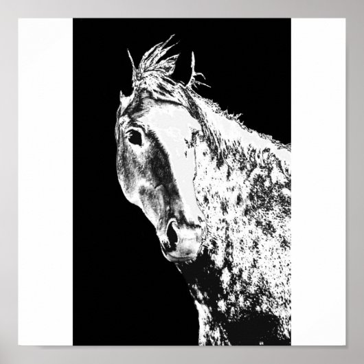 Silbertraum Poster (Vorne)