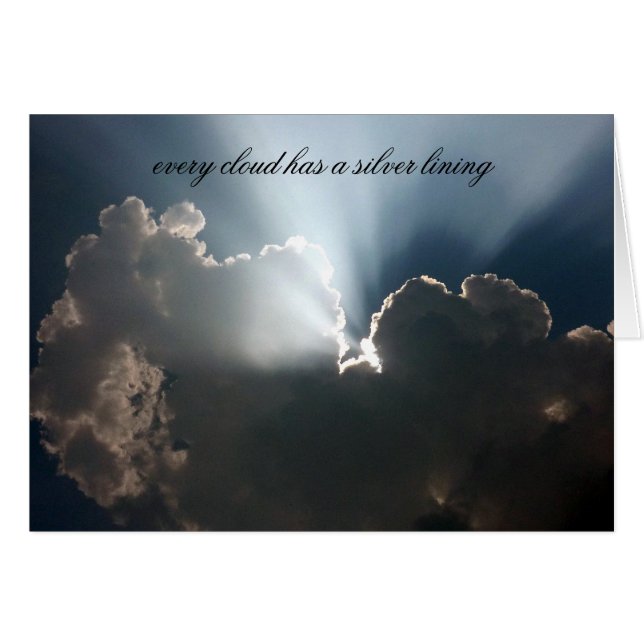 Silberverschleierung (Vorderseite (Horizontal))