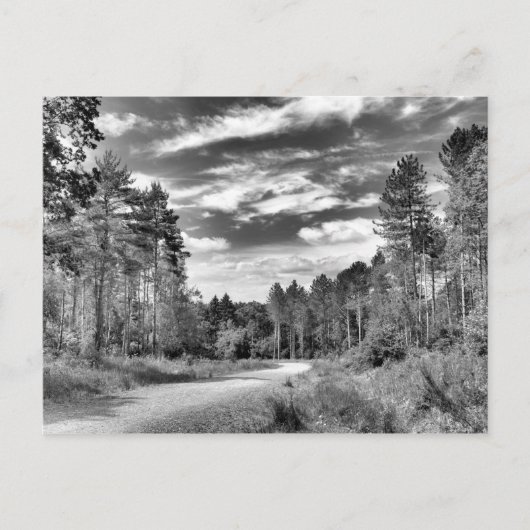 Silberwald Postkarte (Vorderseite)