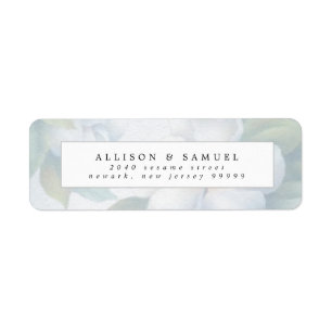 Silberweiße Dogwood-Blüten