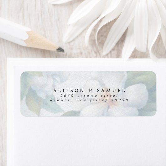 Silberweiße Dogwood-Blüten (Insitu)