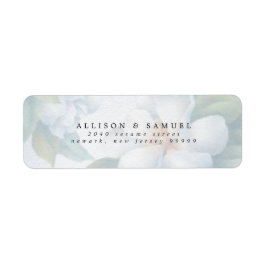 Silberweiße Dogwood-Blüten