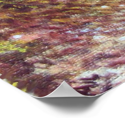 SILENT AUTUMN IN FLORENZ POSTER (Ecke)