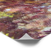 SILENT AUTUMN IN FLORENZ POSTER (Ecke)