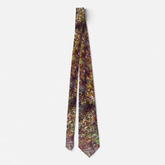 SILENT AUTUMN VERLÄSST IN FLORENZ Toskana Landscha Krawatte (Rückseite)