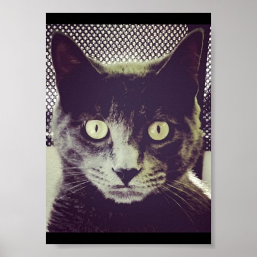 Silent Kitty Poster (Vorne)