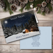 Silent Night Mountain Forest