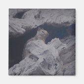 Silent Observer Magnet (Vorne)