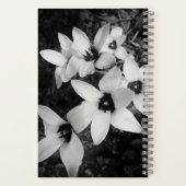 Silent Symmetry Notizblock (Rückseite)