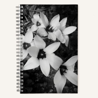 Silent Symmetry Notizblock