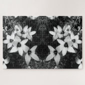 Silent Symmetry Puzzle (Horizontal)