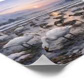 Silent Waters – Swans and Geese in a Winter Field Poster (Ecke)