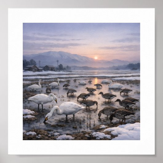 Silent Waters – Swans and Geese in a Winter Field Poster (Vorne)
