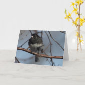 Silent Wondern leer innerhalb der Grußkarte Junco Karte (Gelbe Blume)