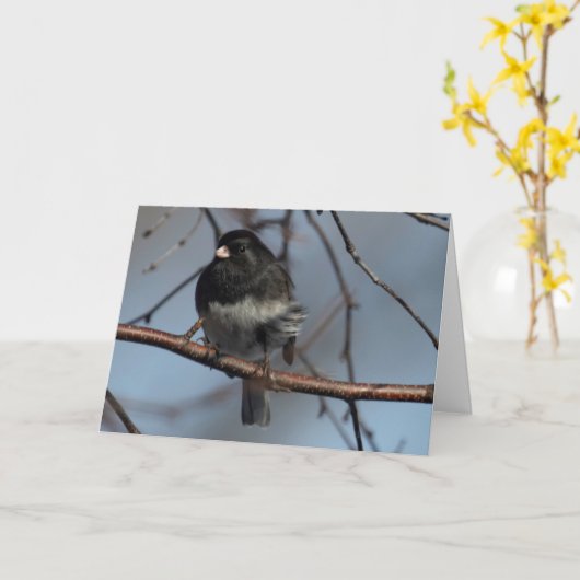 Silent Wondern leer innerhalb der Grußkarte Junco Karte (Gelbe Blume)