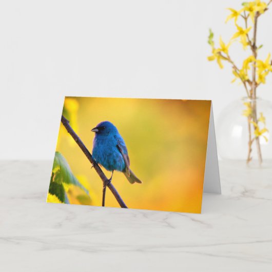 Silent wonders blank greeting card Indigo Bunting Karte (Gelbe Blume)