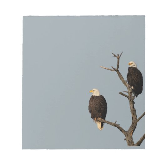 Silent Wonders Notepad Bald Eagles Notizblock (Vorderseite)