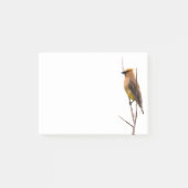 Silent Wonders Post es merkt Cedar Waxwing Post-it Klebezettel (Vorderseite)