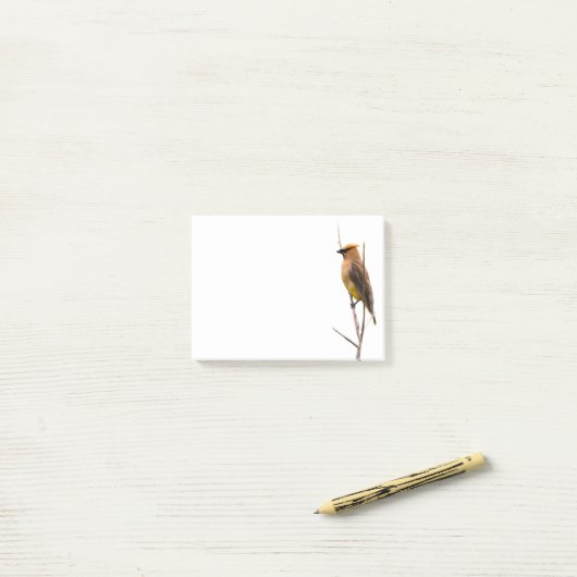 Silent Wonders Post es merkt Cedar Waxwing Post-it Klebezettel (Auf Schreibtisch)