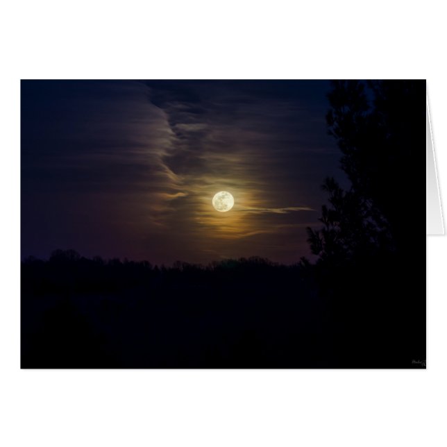 Silhouette (Vorderseite (Horizontal))