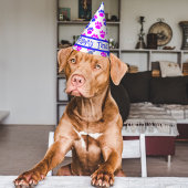 Silhouette "Animal Paw" Partyhütchen