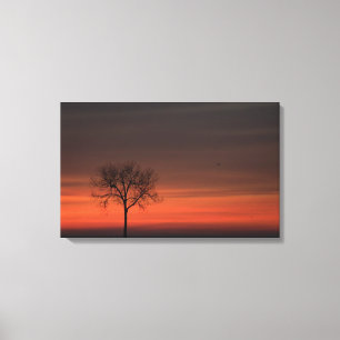 Silhouette-Baum ausgedehnter Leinwand-Druck Leinwanddruck