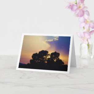 Silhouette Baumlandschaft Karte
