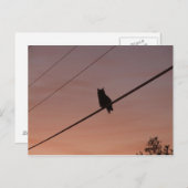 Silhouette Beauty Postkarte (Vorne/Hinten)