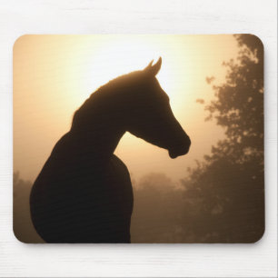 Silhouette bei Morgengrauen Mousepad