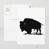 Silhouette Black & White Buffalo Postkarte (Vorne/Hinten)