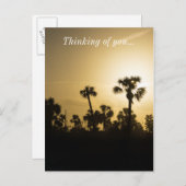 Silhouette Cocoa Palm Postkarte (Vorne/Hinten)