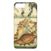 Silhouette Conch Muschel Case-Mate iPhone Hülle (Rückseite)