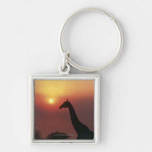 Silhouette der Giraffe (Giraffa Camelopardalis) Schlüsselanhänger (Vorne)