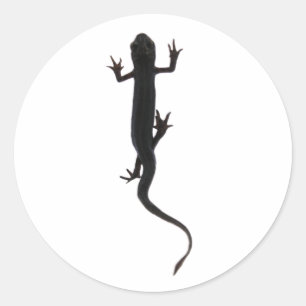 Silhouette der NWT-Amphibien Runder Aufkleber