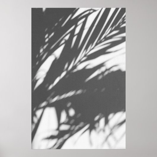 Silhouette der Palme Poster (Vorne)