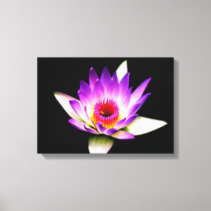 Silhouette der Passion-Blume Leinwanddruck