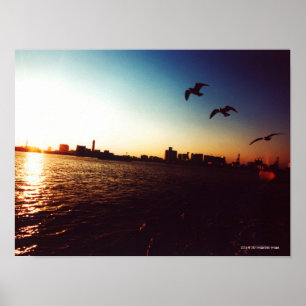 Silhouette der Skyline von Tokio Bay bei Sonnenunt Poster
