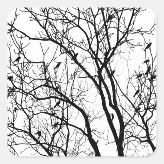 Silhouette der Vogel durch Therese Kramer Quadratischer Aufkleber (Vorderseite)