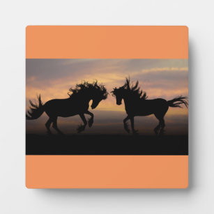 Silhouette der Wilden Pferde Fotoplatte