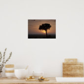 Silhouette des Baumes auf schlicht, Masai Mara 2 Poster (Küche)