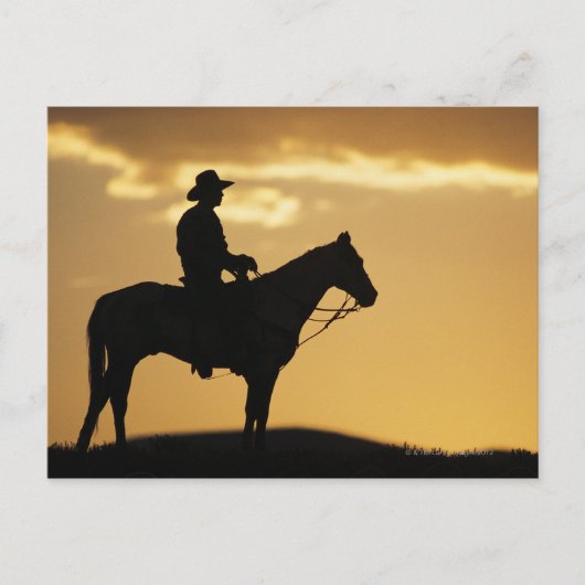 Silhouette des Cowboys auf Pferden bei Sonnenunter Postkarte (Vorderseite)