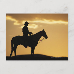 Silhouette des Cowboys auf Pferden bei Sonnenunter Postkarte